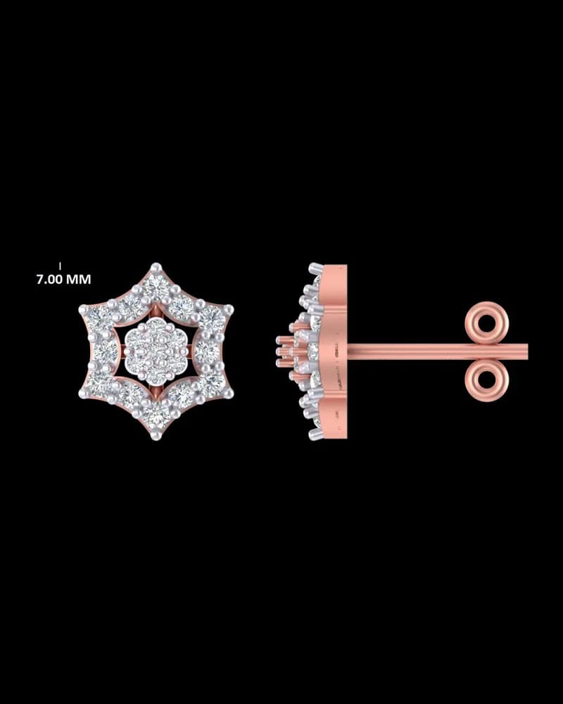 Diamond Earrings · SER05674